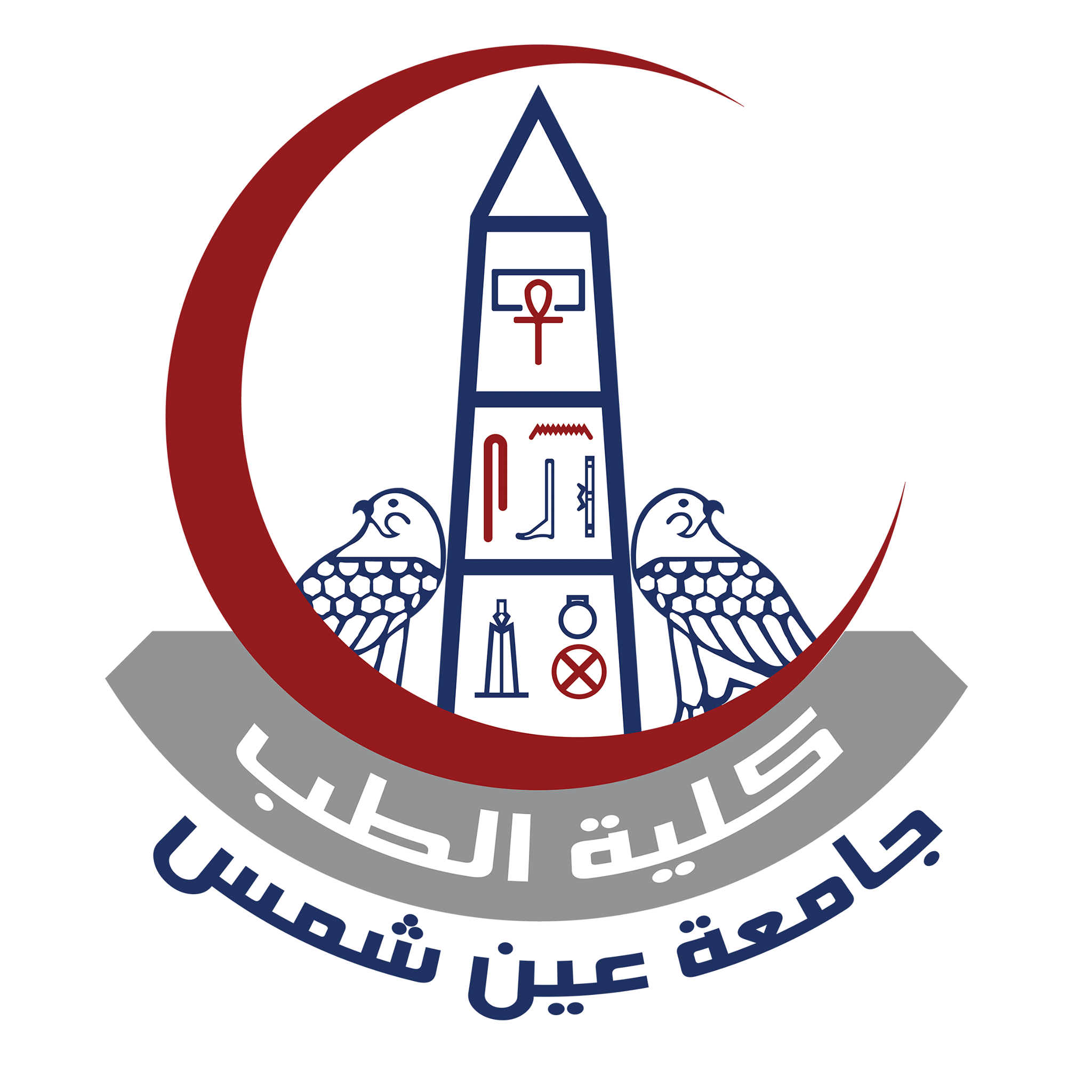 Ain Shams University logo